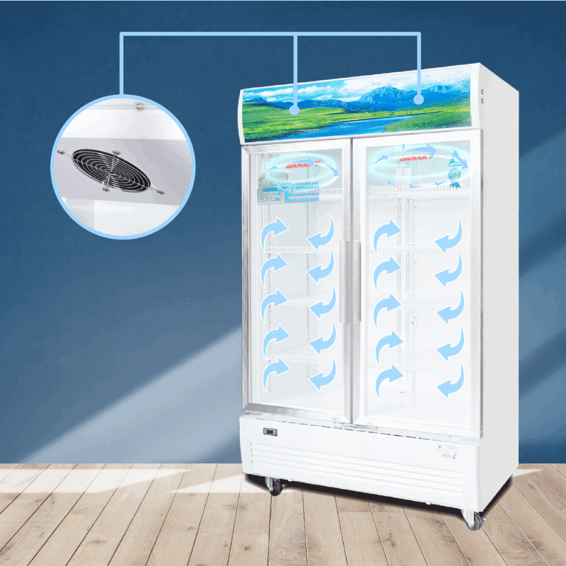 Tủ mát 2 cánh 900l Sanaky VH-1009HP